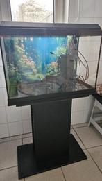 Aquarium, Ophalen, Leeg aquarium