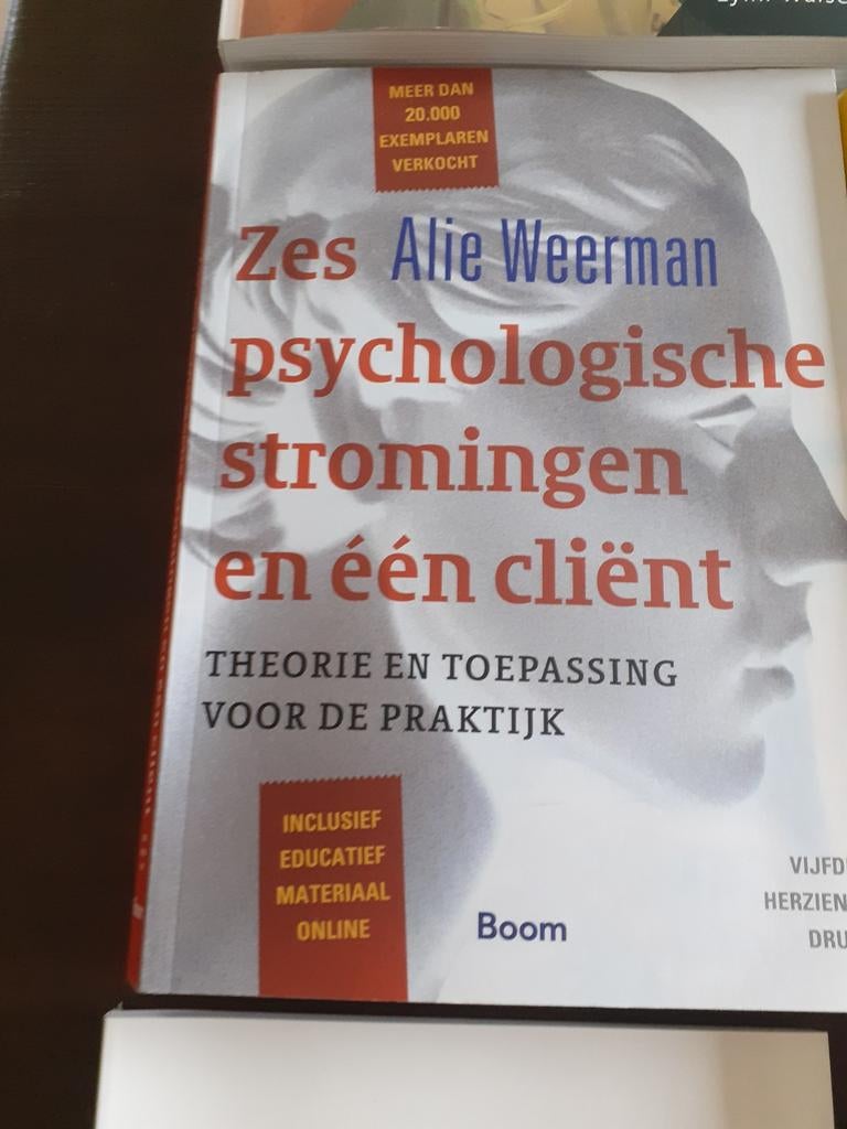 Zes psychologische stromingen en 1 cliënt, Boeken, Studieboeken en Cursussen, Ophalen of Verzenden, Beta, Zo goed als nieuw, HBO