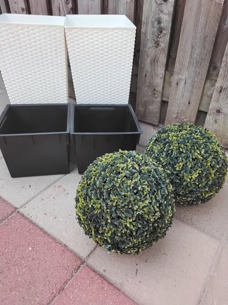 Bloempotten met kunst buxus, Tuin en Terras, Ophalen, Rond, Kunststof, Minder dan 30 cm
