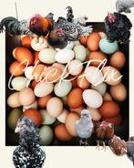 Broedeieren kleurleggermix van tamme bio knuffelkippen, Dieren en Toebehoren, Pluimvee, Geslacht onbekend, Kip