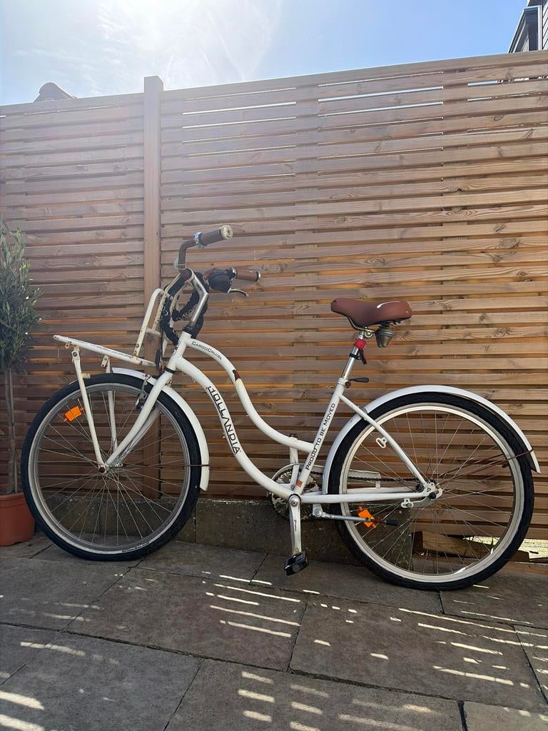 Hollandia Cargo Cruiser Damesfiets, Fietsen en Brommers, Velgrem, 50 tot 53 cm, Ophalen, Overige merken
