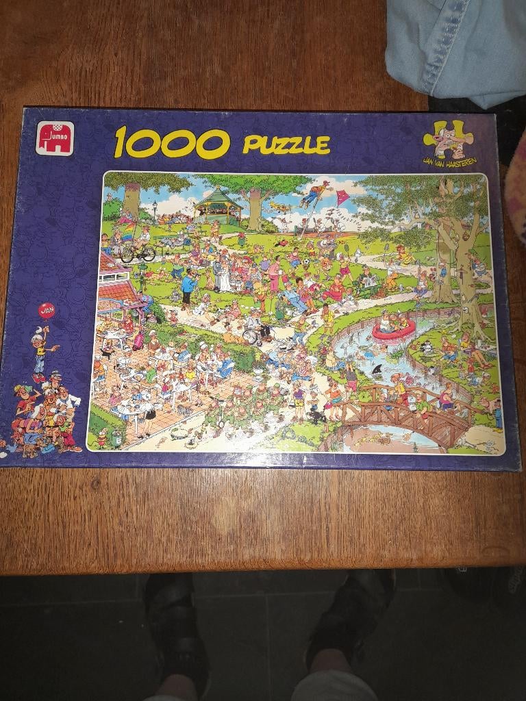 Jan van Haasteren het Park, Ophalen of Verzenden, 500 t/m 1500 stukjes, Gebruikt