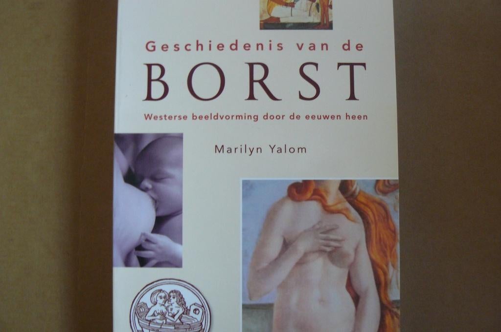 BORST / Geschiedenis van de borst / Westerse beeldvorming, Boeken, Hobby en Vrije tijd, Zo goed als nieuw, Overige onderwerpen