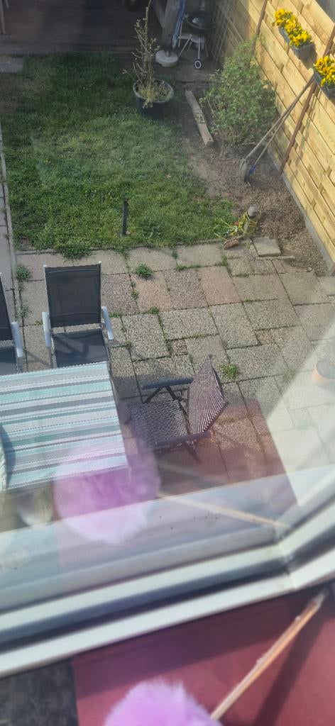 40x60 beton terras tegels + krat bier, Ophalen of Verzenden, Gebruikt