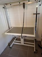 Trimtafel electrisch, Ophalen