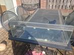 Hamster terrarium/kooi te koop, Ophalen, Gebruikt, Terrarium of Paludarium