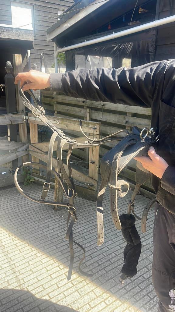 Tuig shetlander, Dieren en Toebehoren, Ophalen, Gebruikt