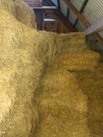 Kleine balen hooi te koop, Dieren en Toebehoren, Ophalen of Verzenden