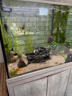 Aquarium Aquatlantis, Ophalen, Gevuld zoetwateraquarium