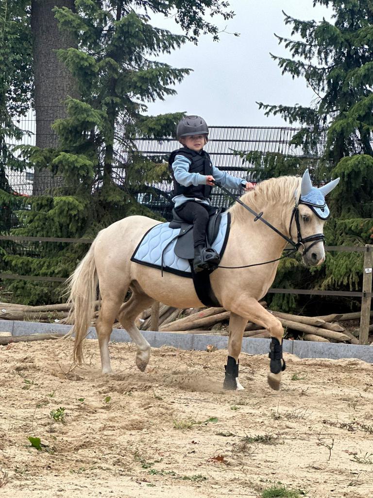 De aller knapste&liefste kinderpony te koop, Dieren en Toebehoren, Pony's, Ruin, Met stamboom