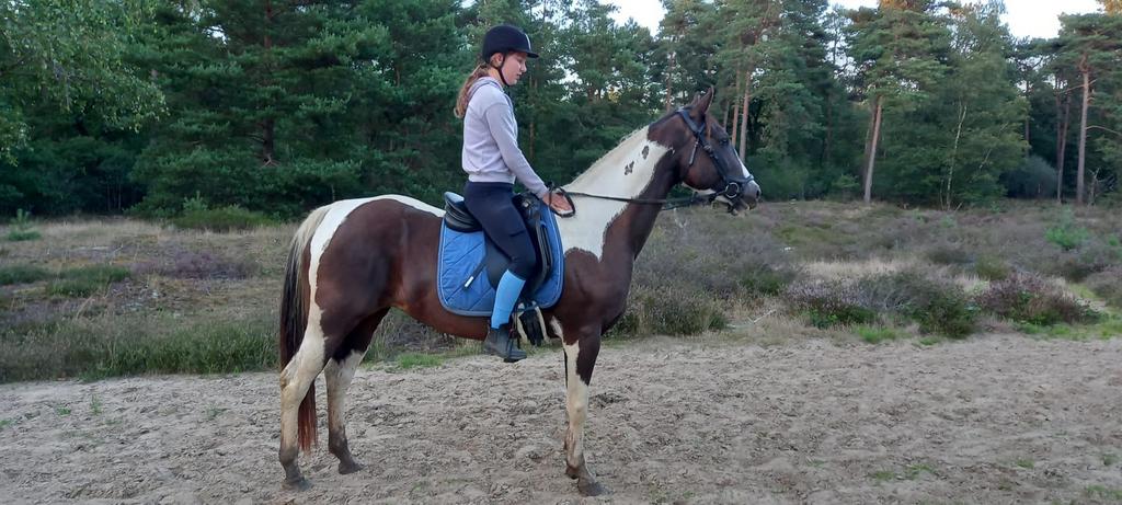 Khaly EAGLES, Dieren en Toebehoren, Pony's, Met stamboom, 7 tot 10 jaar, Recreatiepony, Merrie