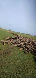 Elzenhout op stam - ca. 50 kuub, Ophalen of Verzenden
