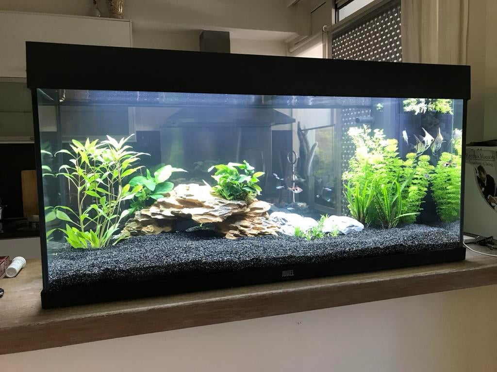 Juwel aquarium, Dieren en Toebehoren, Ophalen, Gebruikt, Leeg aquarium, Juwel
