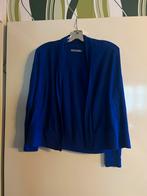 COS Blauw  dames Vest Maat S,100% merino, Kleding | Dames, Ophalen of Verzenden, Zo goed als nieuw, Maat 36 (S), Blauw