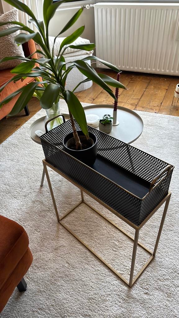 Plantenbak binnen zwart goud, Ophalen, Minder dan 30 cm, Rond, Zo goed als nieuw