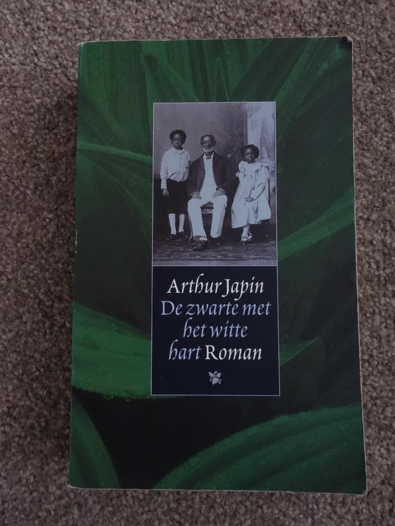 Arthus Japin, De zwarte met het witte hart, Boeken, Ophalen of Verzenden, Gelezen