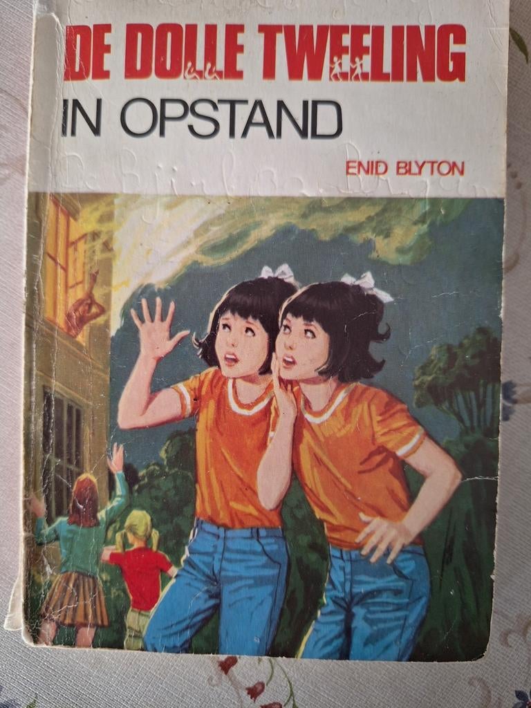 De dolle tweeling, Boeken, Kinderboeken | Jeugd | 10 tot 12 jaar, Ophalen of Verzenden, Gelezen