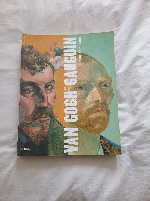 Van Gogh et Gauguin, Ophalen of Verzenden, Zo goed als nieuw, Douglas W. Druick, Schilder- en Tekenkunst