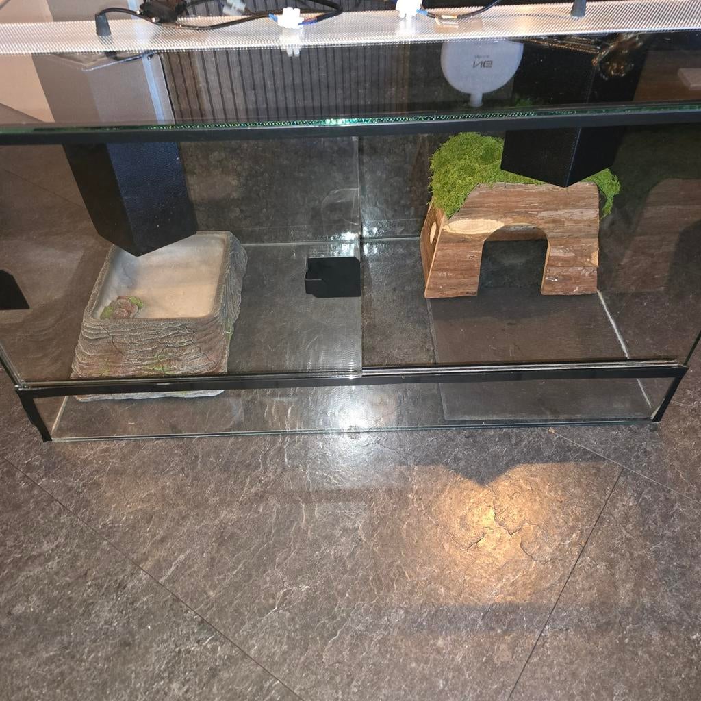 Te koop terra bak, Dieren en Toebehoren, Reptielen en Amfibieën | Toebehoren, Ophalen