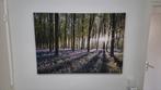 Canvas schilderij XL 100x80cm – Zonlicht bos paarse bloemen, Ophalen