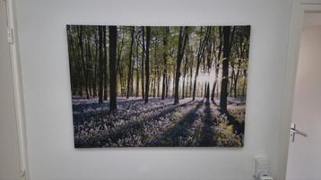 Canvas schilderij XL 100x80cm – Zonlicht bos paarse bloemen beschikbaar voor biedingen