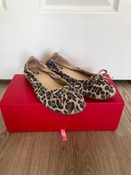Si ballerina's maat 38, Kleding | Dames, Schoenen, Overige kleuren, Zo goed als nieuw, Si, Ballerina's