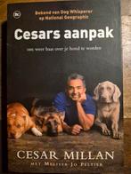 Cesar Millan's Aanpak - Hondenboek, Ophalen of Verzenden, Gelezen, Honden, Cesar Millan