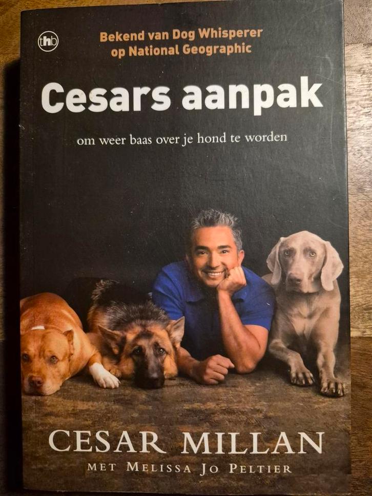 Cesar Millan's Aanpak - Hondenboek, Boeken, Dieren en Huisdieren, Gelezen, Honden, Ophalen of Verzenden
