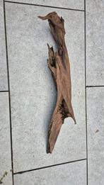 Supermooi kienhout grote stukken!, Ophalen, Plant(en), Steen of Hout