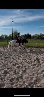 Bijrijder AANGEBODEN, Dieren en Toebehoren, Paarden en Pony's | Overige Paardenspullen, Ophalen of Verzenden