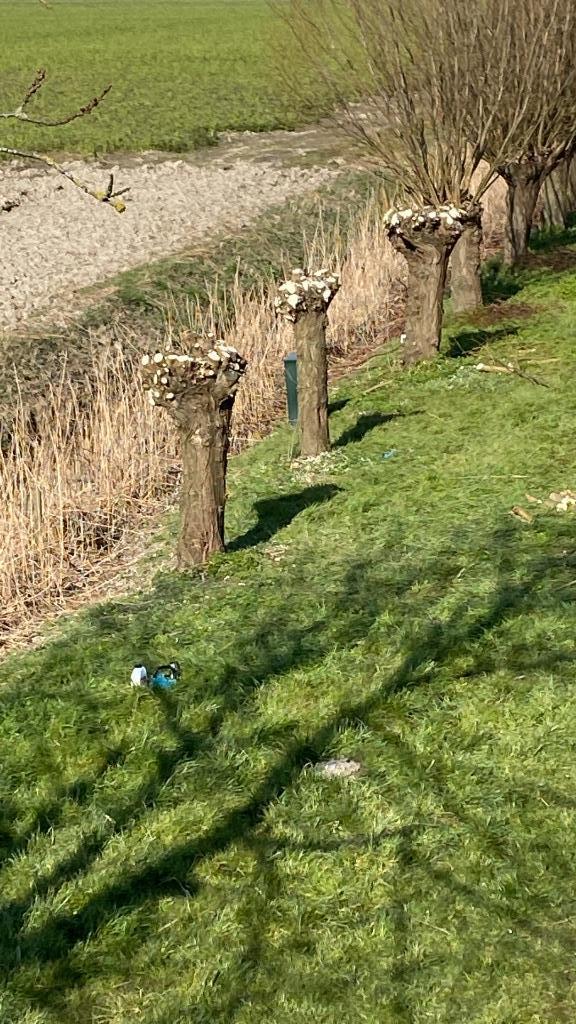 tuinhulp, Tuin en Terras, Overige Tuin en Terras, Ophalen of Verzenden