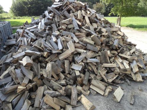 Openhaardhout haardhout vuurkorf gekloofd es, Tuin en Terras, Haardhout, Blokken, Essenhout, 6 m³ of meer, Ophalen