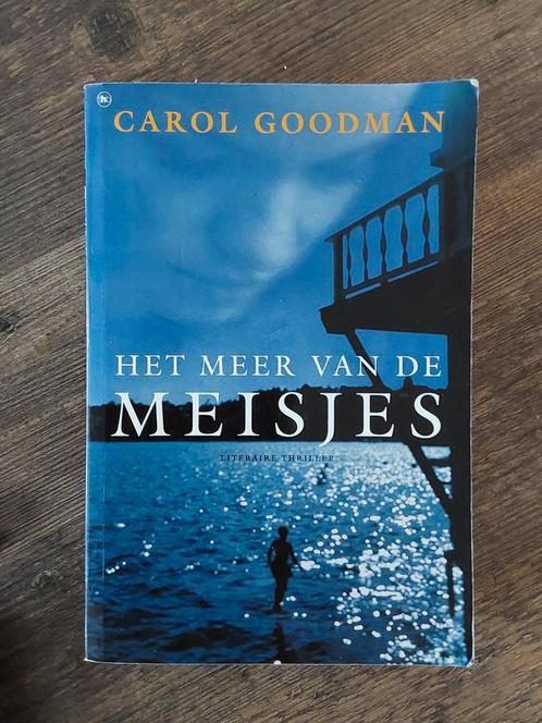 Boek het meer van de meisjes, Boeken, Thrillers, Gelezen, Nederland, Ophalen of Verzenden
