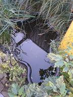 Vijver met enkele goudvissen, Ophalen, Gebruikt