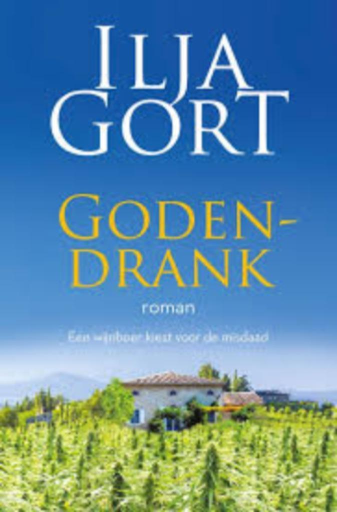Godendrank van Ilja Gort, Boeken, Romans, Zo goed als nieuw, Ophalen of Verzenden