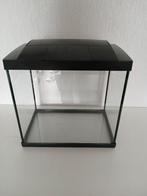 Superfish Aqua 30 LED Tropical kit, Dieren en Toebehoren, Ophalen, Gebruikt, Leeg aquarium