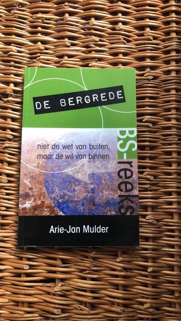 Arie-Jan Mulder - De Bergrede beschikbaar voor biedingen