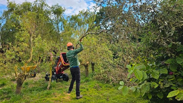 Compacte Versnipperaar hakselaar te huren, Tuin en Terras, Hand-tuingereedschap, Nieuw, Overige soorten, Ophalen of Verzenden