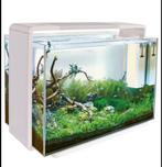 Superfish Home 110 aquarium wit, Dieren en Toebehoren, Ophalen, Zo goed als nieuw, Leeg aquarium