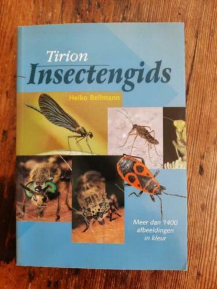 Tirion insectengids . Heiko Bellmann, Boeken, Natuur, Zo goed als nieuw, Ophalen of Verzenden