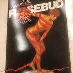 Rosebud - Discoballs (A Tribute to Pink Floyd), Cd's en Dvd's, Vinyl | Pop, Ophalen of Verzenden, Zo goed als nieuw
