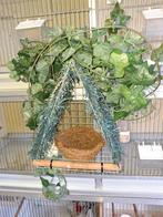 Vogelkooien,  Broedkooien,  Kweekkooien,, Dieren en Toebehoren, Meerdere dieren