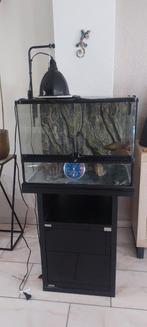 Exo terra terrarium 45x45x60 inclusief meubel, Dieren en Toebehoren, Ophalen