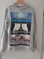 Non grada sweater trui shirt grijs mt l, Kleding | Heren, Grijs, Ophalen of Verzenden, Zo goed als nieuw