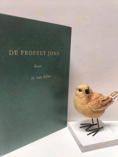 Gilst, Ds. H. van; De profeet Jona, Boeken, Godsdienst en Theologie, Gelezen, Christendom | Protestants, Ophalen of Verzenden