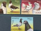 Vogels, Wit-Rusland 2011, Ophalen of Verzenden, Postfris, Dier of Natuur