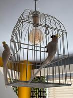 Hanglamp vogelkooi, Ophalen, Minder dan 50 cm
