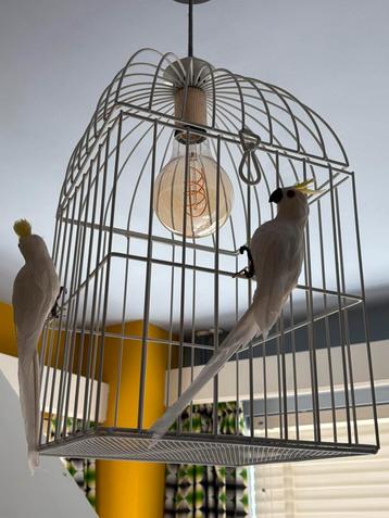 Hanglamp vogelkooi beschikbaar voor biedingen