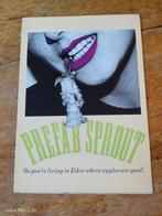 Prefab Sprout postermagazine, Ophalen of Verzenden, Zo goed als nieuw, Boek, Tijdschrift of Artikel