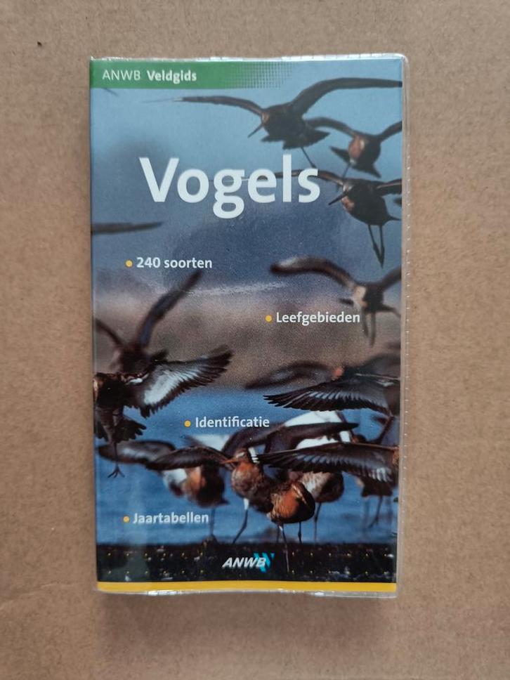 P. Holden - Vogels, Boeken, Wetenschap, Zo goed als nieuw, Natuurwetenschap, Ophalen of Verzenden